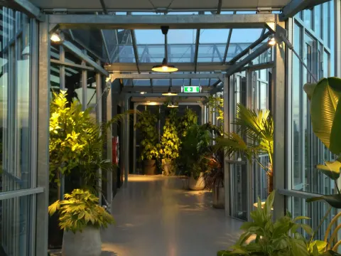 Zoku