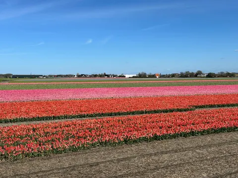 Foto 2 van Proeflokaal 't Soldaatje