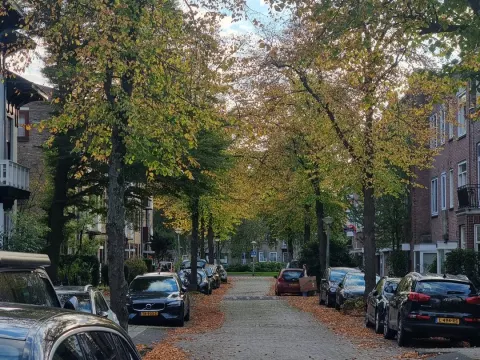 Foto 2 van Zaffraan