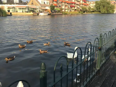 Foto 2 van Eetcafe het Zwaantje