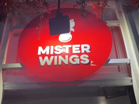 Mister Wings