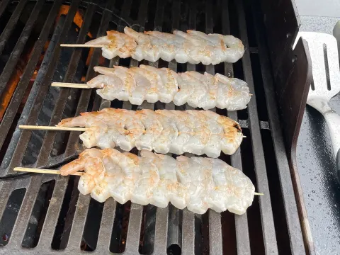Sharky's  BBQ Pitch
