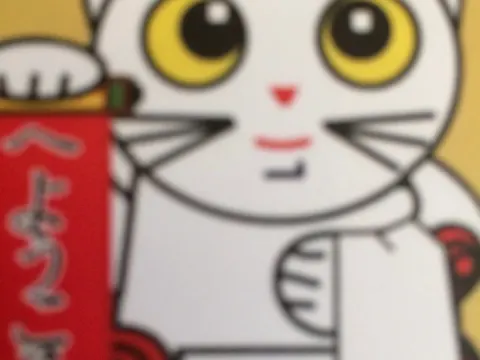 Foto 3 van Maneki