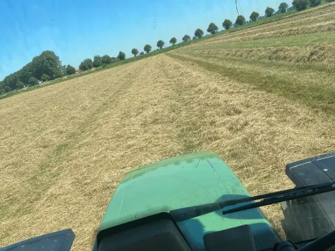 slijkplaat