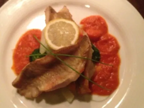 Restaurant natuurlijk onder de eiken