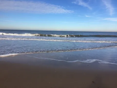 Foto 3 van Brooklyn Beach