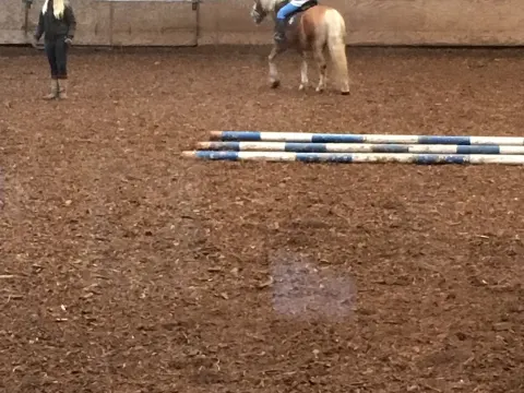 Manege De Hoeve