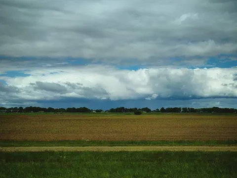 Foto 5 van De Rheezerbelten