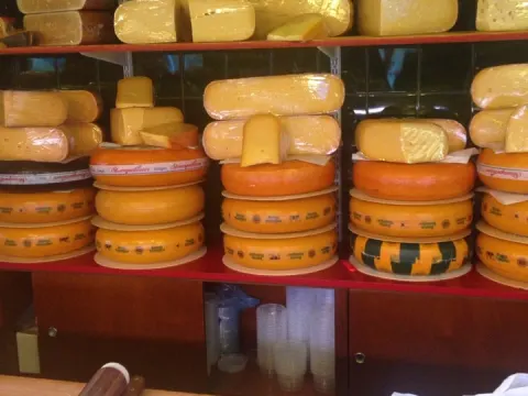 De Kaashoek