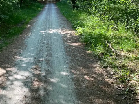 Heidezicht
