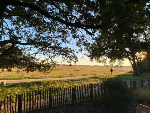 Foto 4 van Heidezicht