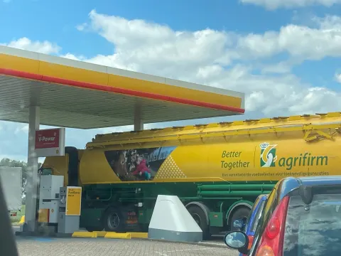 Shell