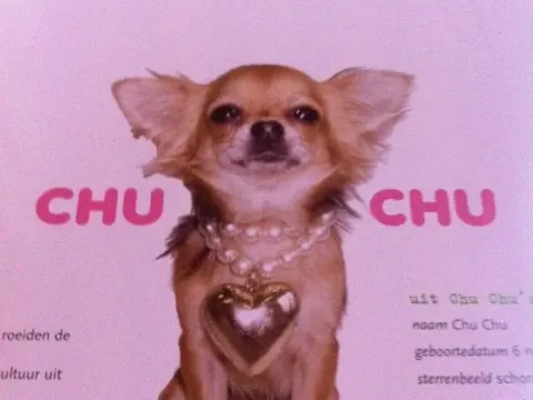 Foto 4 van Chu Chu