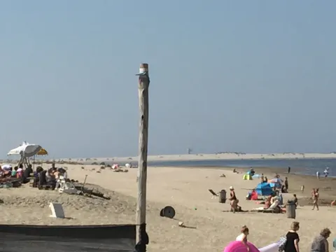 Strandpaviljoen Flamengo's