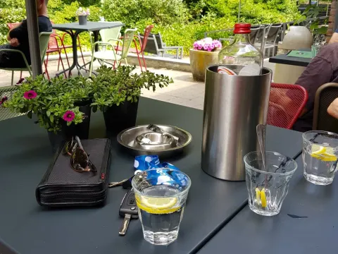 Foto 4 van De Fazant Ulvenhout