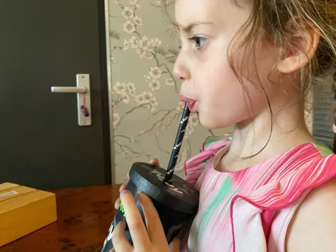 Den Besterd