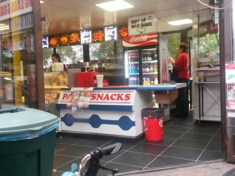 IJsselmeerpaling