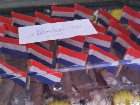 Haringstal Johan