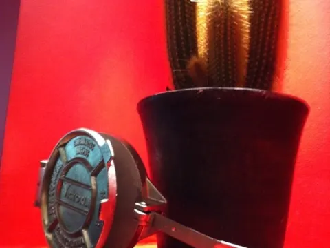 Taco Mundo