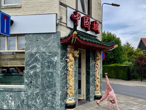 Foto 5 van Afhaal De Lange Muur
