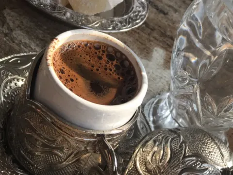 Toros