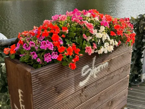 Sham Oost