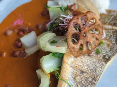 Red Orchids