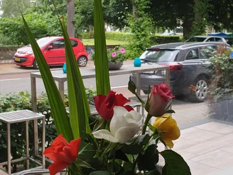 Foto 5 van vooges