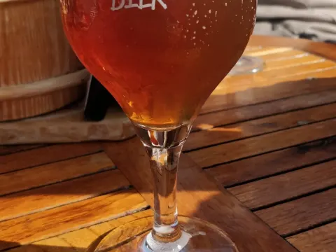 De Dwaze Herder