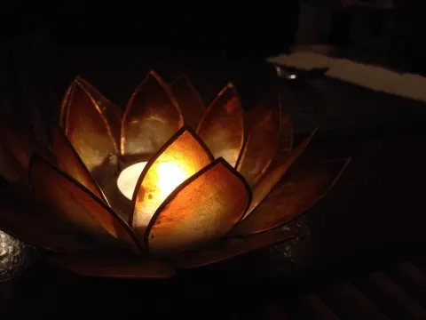 Foto 4 van Thai & Co