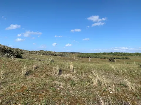 Foto 5 van De Piraat