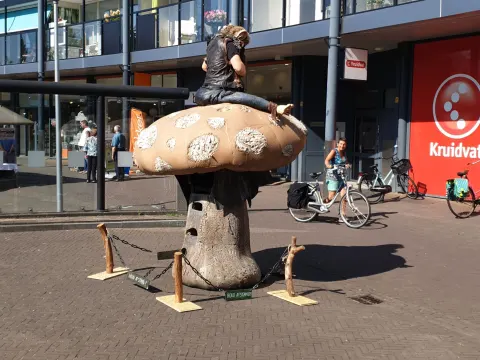 Foto 2 van Verhage