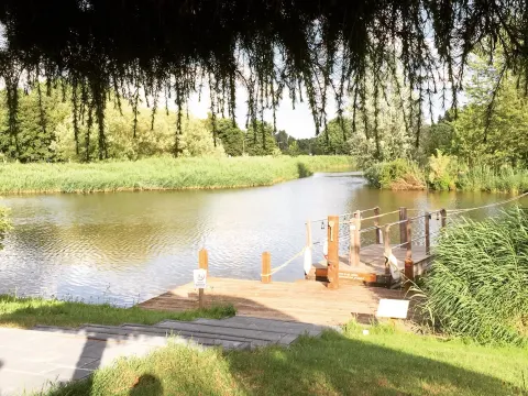 Het Wapen van Vidaa