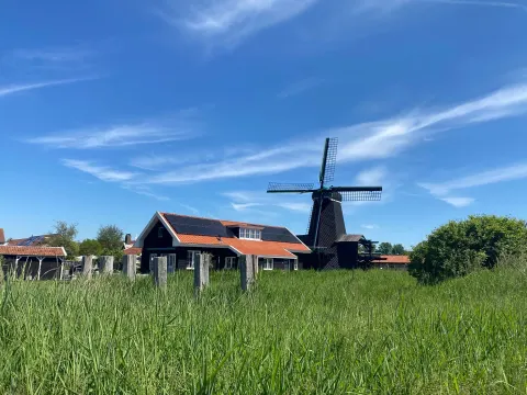 De Blauwe Pauw