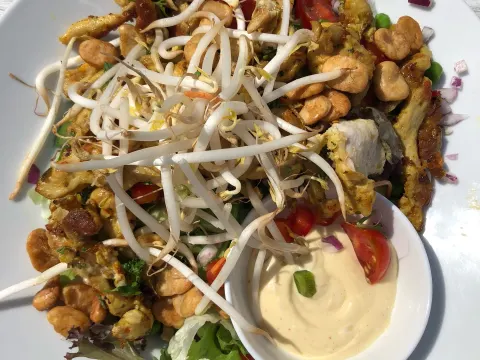 Foto 5 van Sjapo
