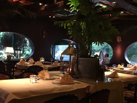 Flamingo Paradise