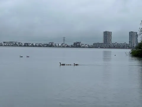 De Strandgaper