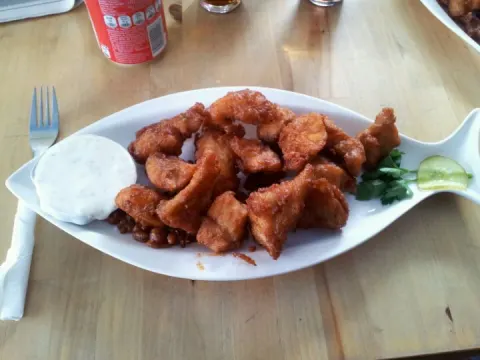 Hanny's Vis Paleisje