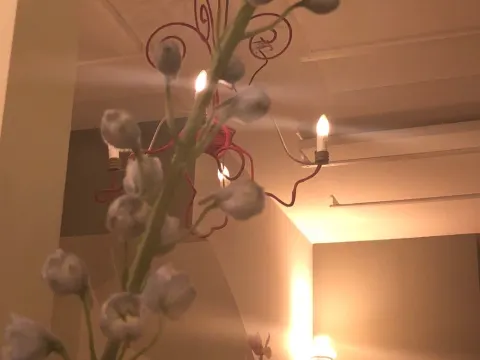 Marius