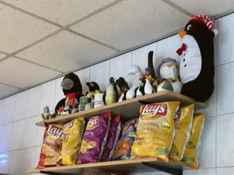 Foto 3 van De Pinguïn
