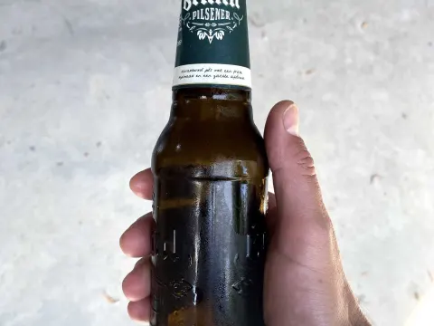 De Hompesche Molen