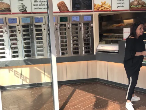 Febo