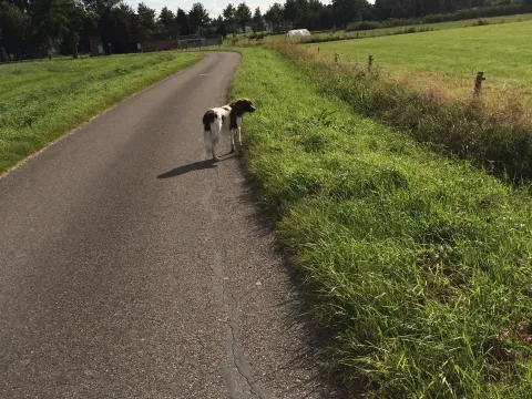 Foto 2 van Castelhoeve