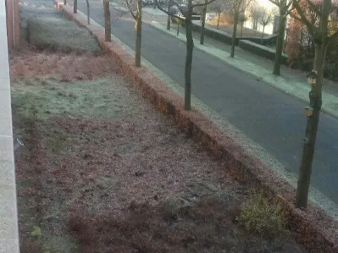 Ru-vis