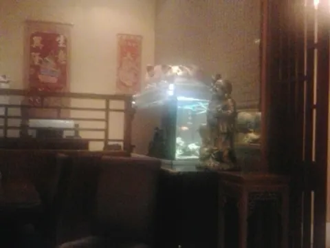 Foto 3 van Golden City