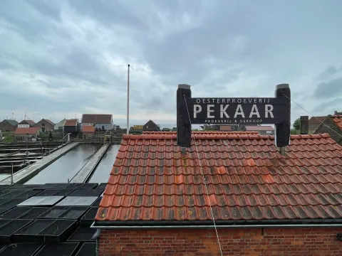 Oesterhandel Pekaar