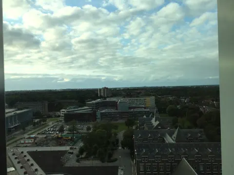 Top Level