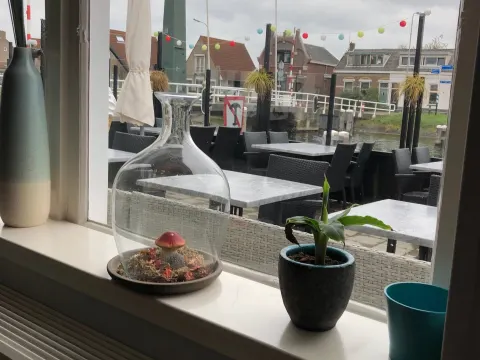 Over de Kook