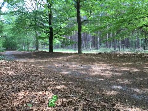 Helvoirtse Heide