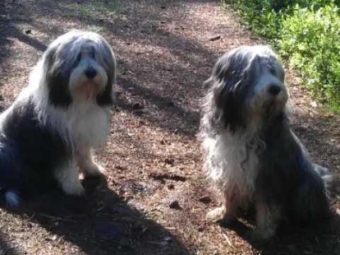 Foto 2 van De Reeënberg